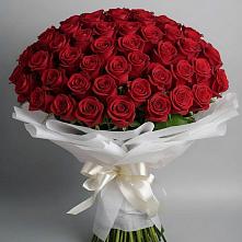Букет 101 Красная роза Блэк Мэджик #REPLACE_PRED# Привольном