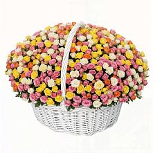 Премиум букет из: Розы в Привольном