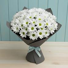 Букет цветов из:  Хризантемы #REPLACE_PRED# Привольном