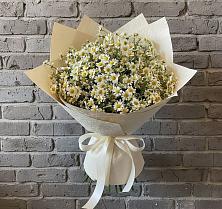 Букет цветов из:  Ромашки в Привольном