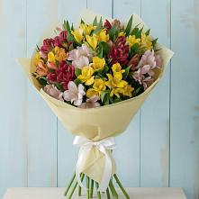 Букет цветов из:  Альстромерии в Привольном