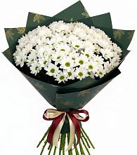 Букет цветов из:  Хризантемы #REPLACE_PRED# Привольном