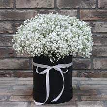Цветочная композиция из Гипсофила в шляпной коробке #REPLACE_PRED# Привольном