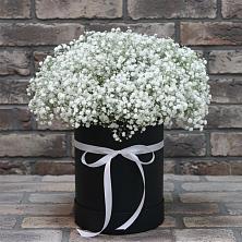 Цветочная композиция из Гипсофила в шляпной коробке в Привольном